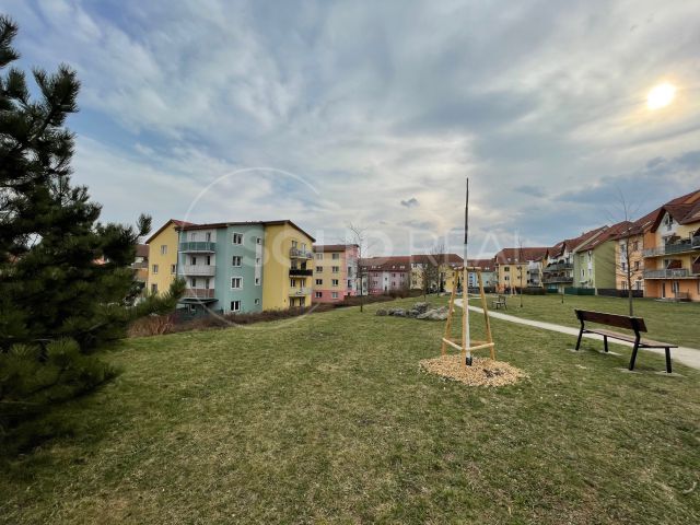 Obrázek k zakázce č.: 567353