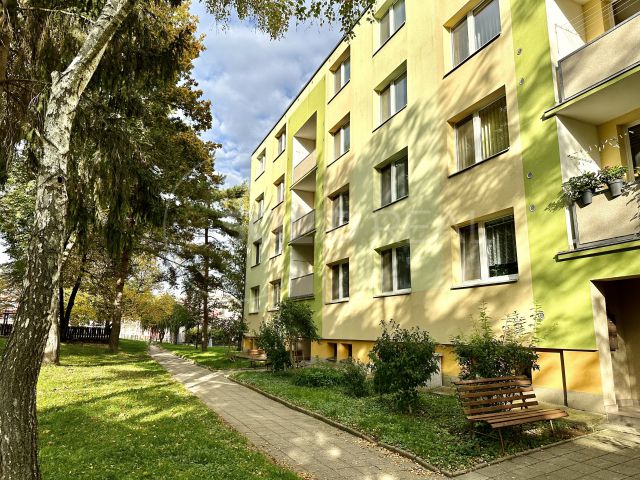 Obrázek k zakázce č.: 673896