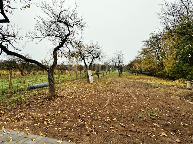 Obrázek k zakázce č.: 663876