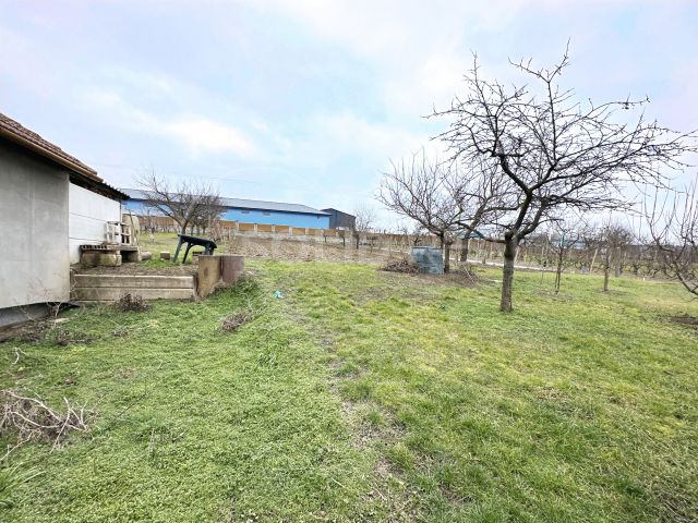 Obrázek k zakázce č.: 679956