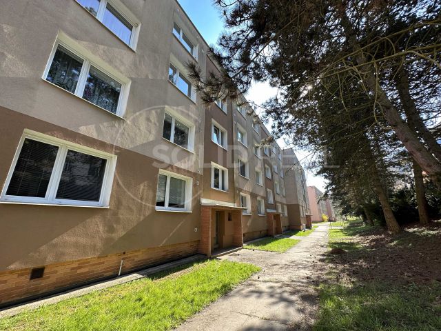 Obrázek k zakázce č.: 683706