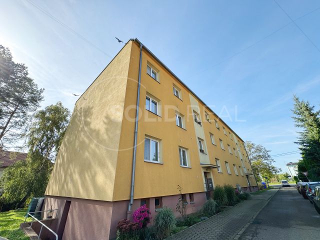 Obrázek k zakázce č.: 691516