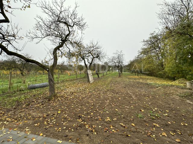 Obrázek k zakázce č.: 691306
