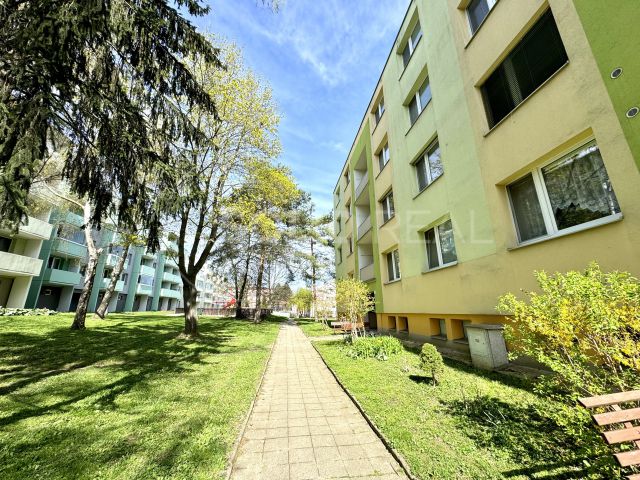 Obrázek k zakázce č.: 699166