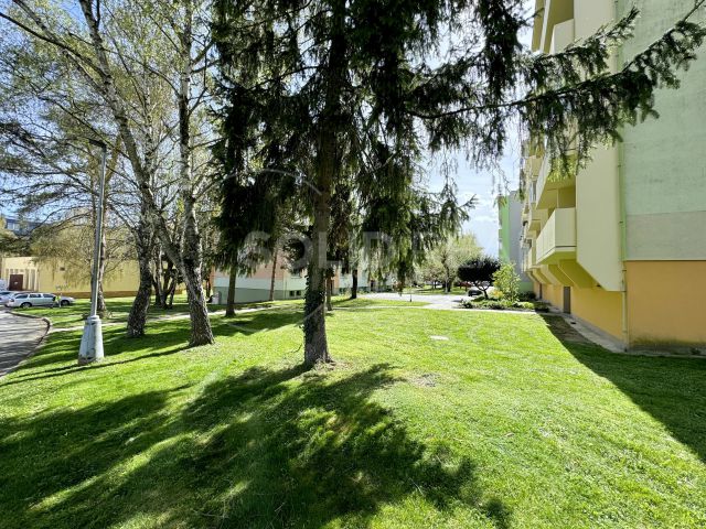 Obrázek k zakázce č.: 699166