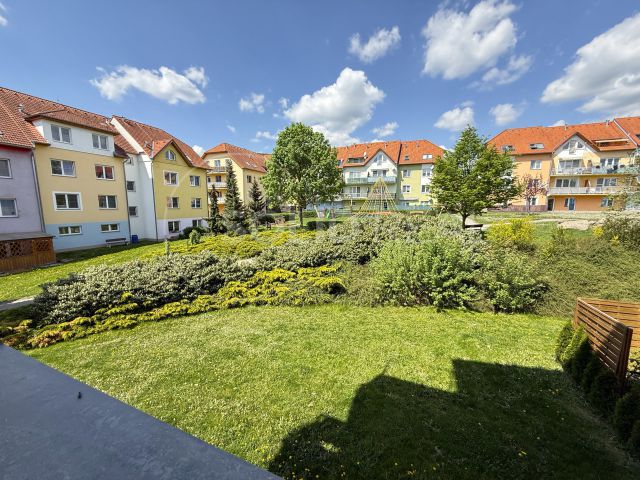 Obrázek k zakázce č.: 715702