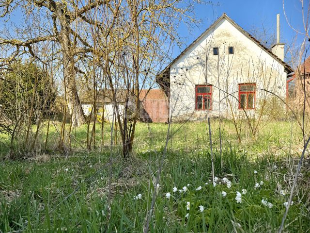 Obrázek k zakázce č.: 731031